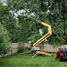 How Our Tree Care Process Works  in  Keyes, CA