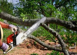 Best Weed Control  in Keyes, CA