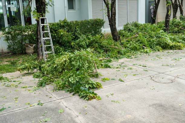 Best Seasonal Cleanup (Spring/Fall)  in Keyes, CA